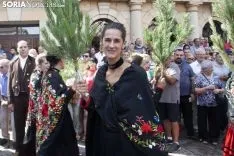 Pinochada / María Ferrer