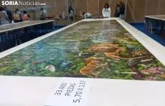 Una imagen de la exposición. /SN