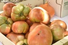 Mercado Ecológico en la plaza de San Esteban. /EM