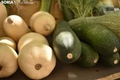 Mercado Ecológico en la plaza de San Esteban. /EM