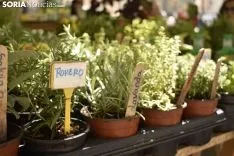 Mercado Ecológico en la plaza de San Esteban. /EM
