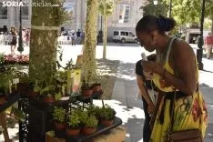 Mercado Ecológico en la plaza de San Esteban. /EM