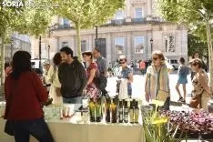 Mercado Ecológico en la plaza de San Esteban. /EM