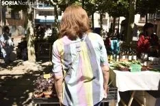 Mercado Ecológico en la plaza de San Esteban. /EM