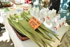 Mercado Ecológico en la plaza de San Esteban. /EM