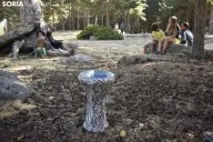 Jam Sesion de 'Músicos en la Naturaleza' de Duruelo de la Sierra. /EM