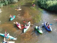 XXXIII Descenso Popular en Piragua. Organización
