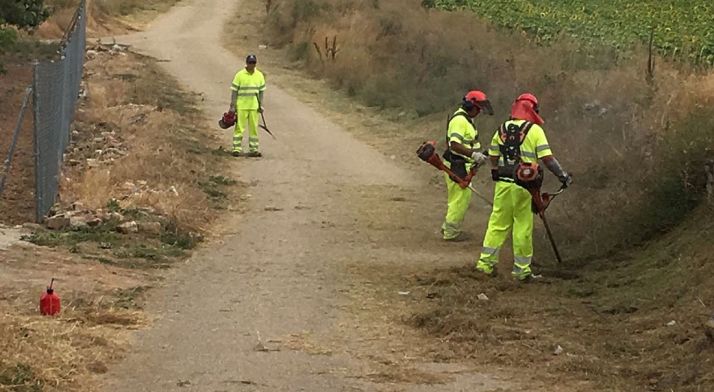 Una de las brigadas en sus tareas de desbroce. /Dip.