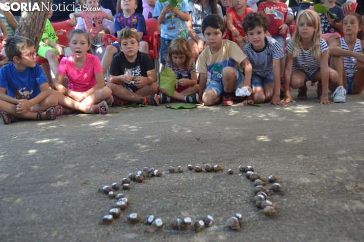 GALERÍA: Los caracoles más rápidos al este de Soria