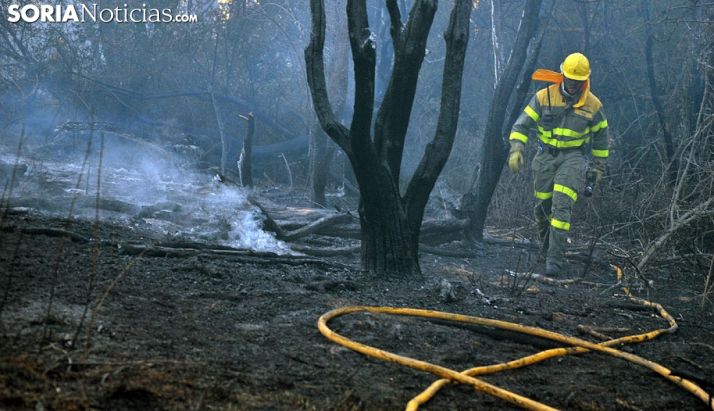 Fomento y Medio Ambiente declara la alerta de incendios forestales por riesgo meteorológico para el 28 de agosto en toda la Comunidad