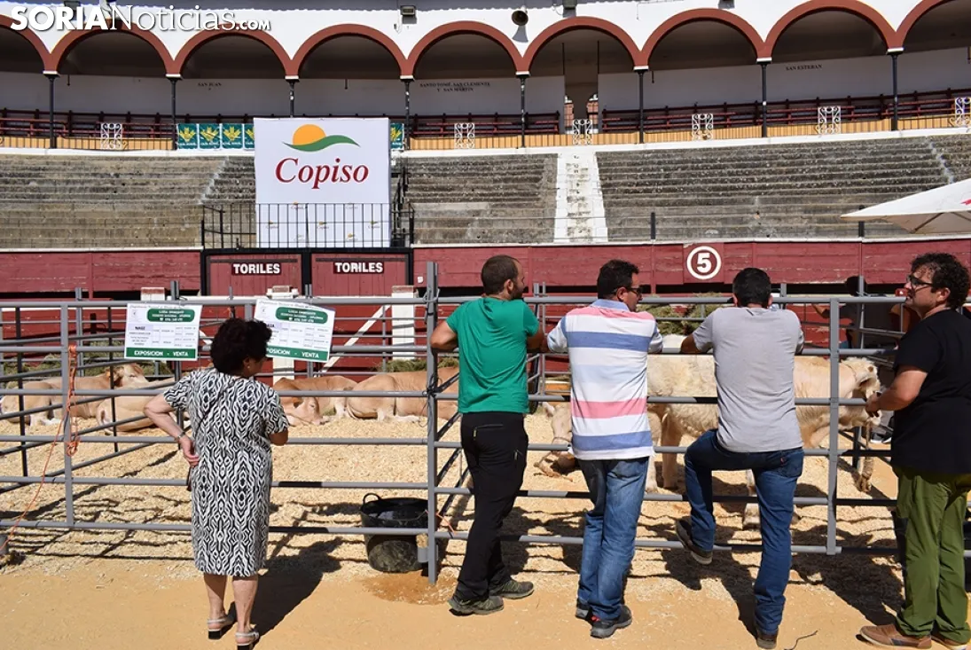 Feria Ganadera de Soria 2018. /SN
