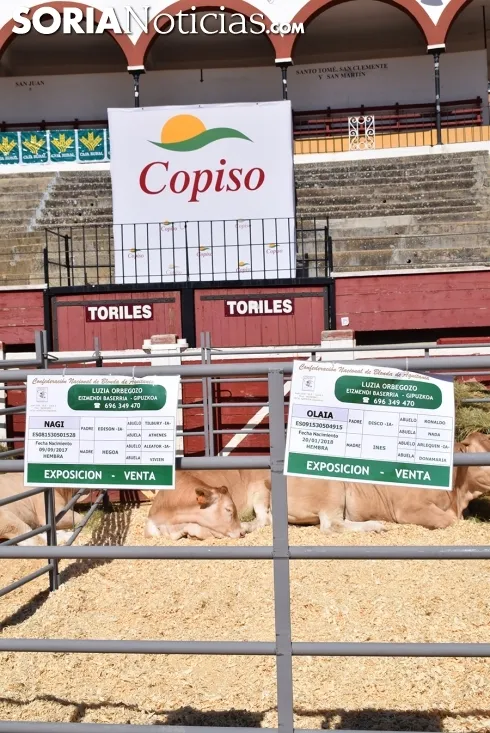 Feria Ganadera de Soria 2018. /SN