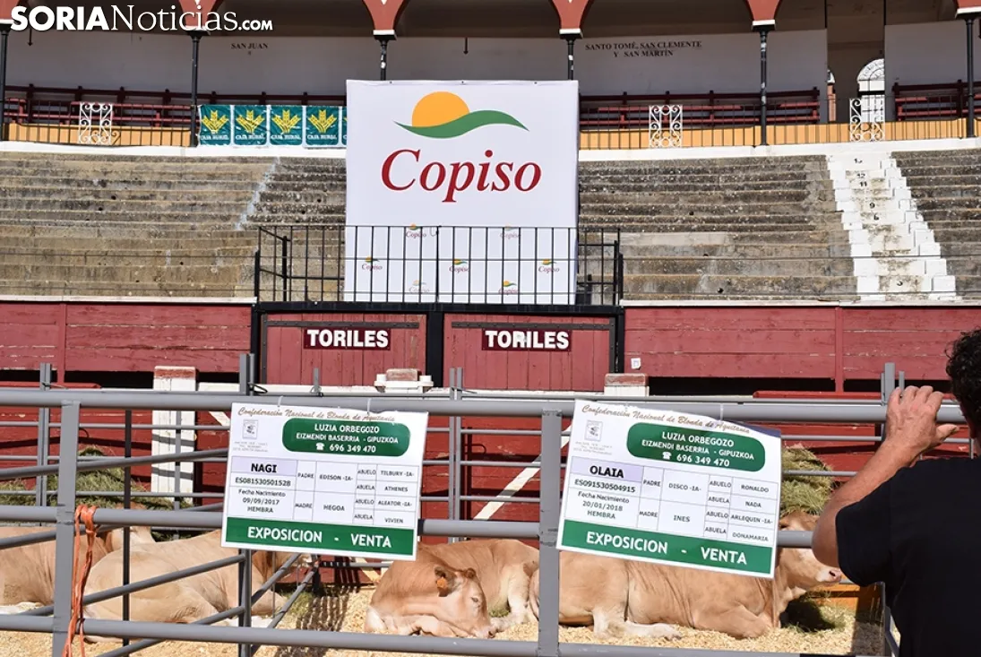 Feria Ganadera de Soria 2018. /SN