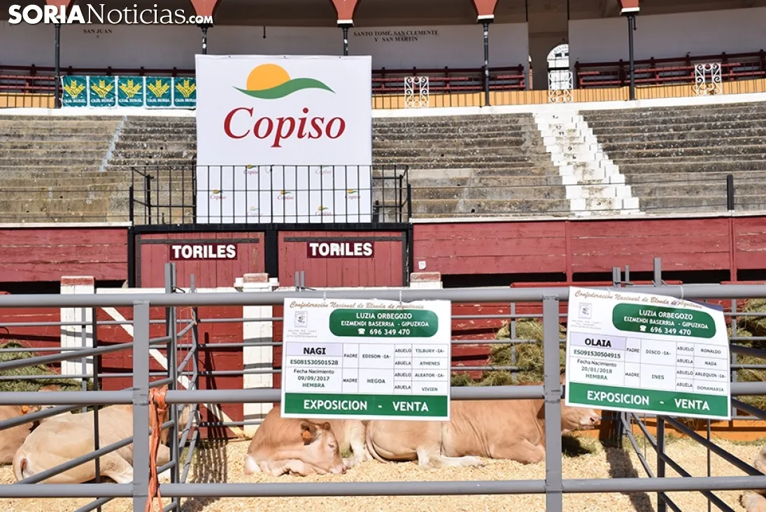 Feria Ganadera de Soria 2018. /SN