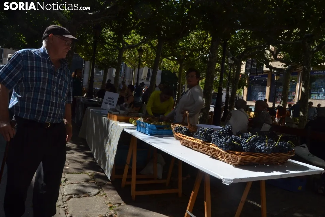 Una imagen de la plaza de San Esteban este sábado. /SN