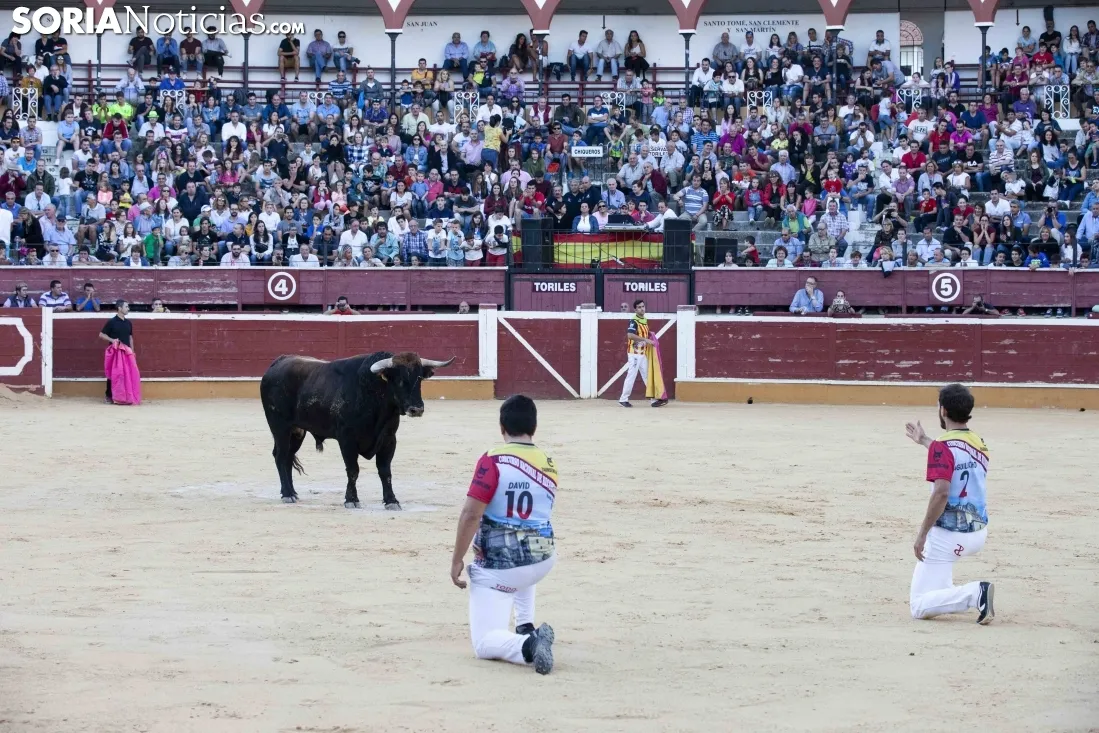 Concurso Nacional de Recortadores / María Ferrer 