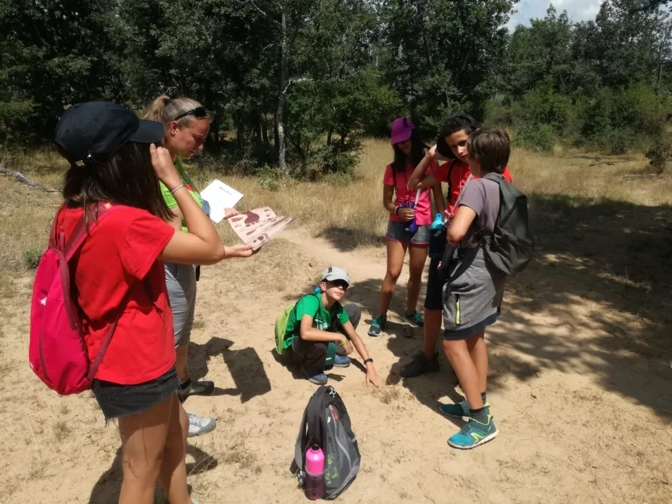 Una de las actividades desarrolladas. /Ayto.
