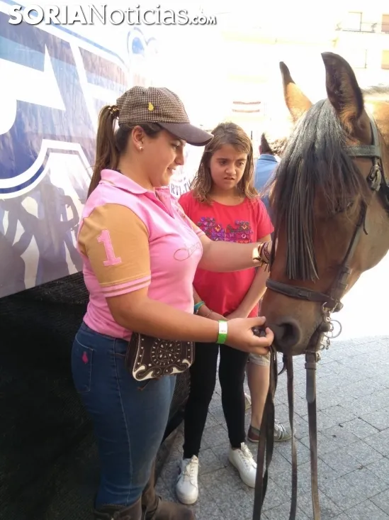 Foto 9 - La trashumancia de &Aacute;greda repite &eacute;xito por tercer a&ntilde;o