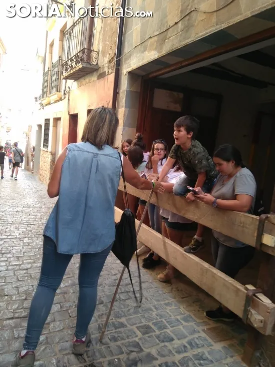Foto 7 - La trashumancia de &Aacute;greda repite &eacute;xito por tercer a&ntilde;o