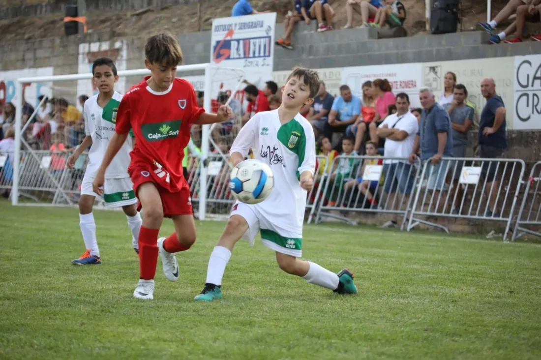 Foto 10 - Atl&eacute;tico de Madrid y el Rayo Vallecano, ganadores del Pinares Cup de b&uacute;tbol base