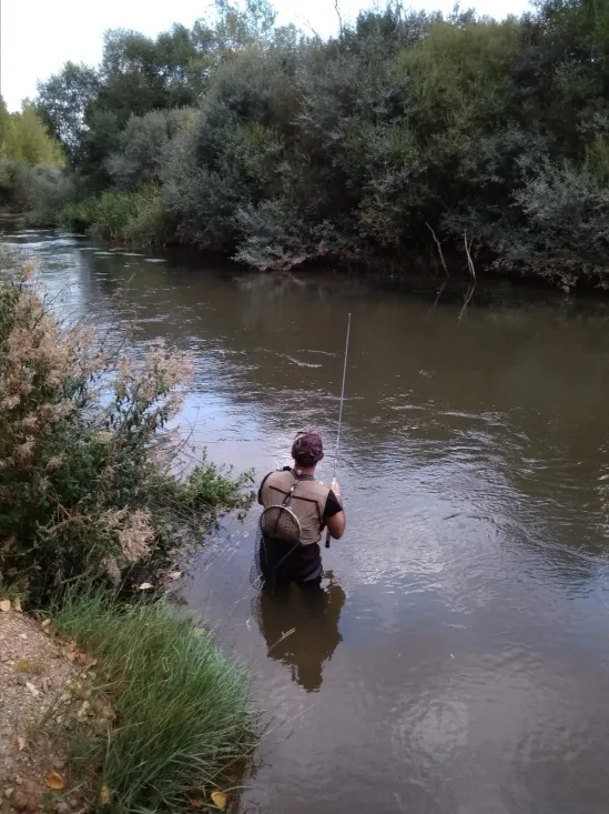 Máster de pesca de salmónidos en el río Duero. Campano Soriano