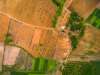 Vista aérea de un terreno agrícola. Imagen de archivo