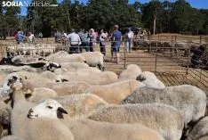Feria Ganadera de Vinuesa 2018