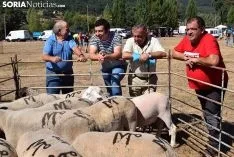 Feria Ganadera de Vinuesa 2018