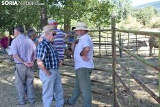 Feria Ganadera de Vinuesa 2018