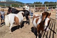 Feria Ganadera de Vinuesa 2018