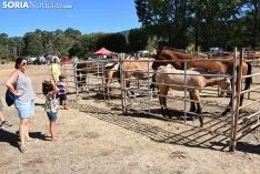 Feria Ganadera de Vinuesa 2018
