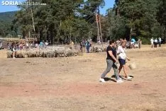 Feria Ganadera de Vinuesa 2018