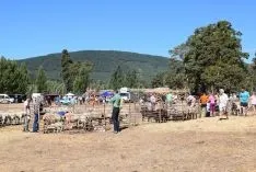 Feria Ganadera de Vinuesa 2018