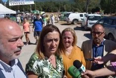 Feria Ganadera de Vinuesa 2018