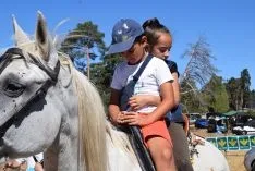 Feria Ganadera de Vinuesa 2018