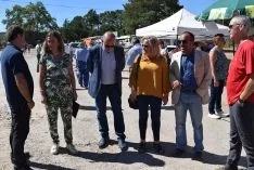 Feria Ganadera de Vinuesa 2018