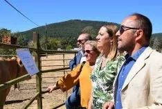 Feria Ganadera de Vinuesa 2018