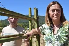 Feria Ganadera de Vinuesa 2018
