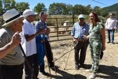 Feria Ganadera de Vinuesa 2018