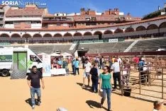 Feria Ganadera de Soria 2018. /SN