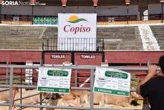 Feria Ganadera de Soria 2018. /SN
