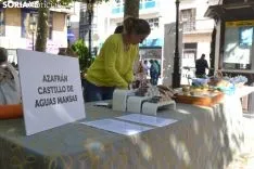 Una imagen de la plaza de San Esteban este sábado. /SN