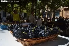 Una imagen de la plaza de San Esteban este sábado. /SN