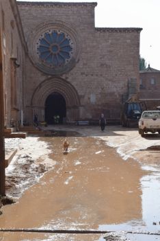 Foto 3 - Técnicos de la Junta y el abad de Santa María de Huerta se reunirán tras la limpieza para evaluar daños