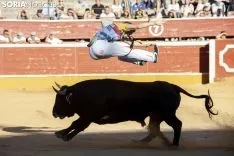 Concurso Nacional de Recortadores / María Ferrer 