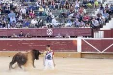 Concurso Nacional de Recortadores / María Ferrer 