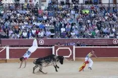 Concurso Nacional de Recortadores / María Ferrer 