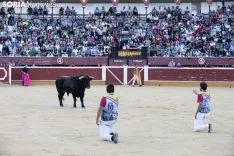 Concurso Nacional de Recortadores / María Ferrer 
