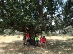 Una de las actividades desarrolladas. /Ayto.