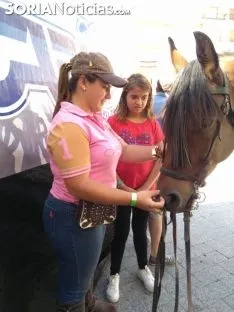 Foto 9 - La trashumancia de &Aacute;greda repite &eacute;xito por tercer a&ntilde;o